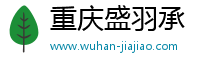 重庆盛羽承科技有限公司